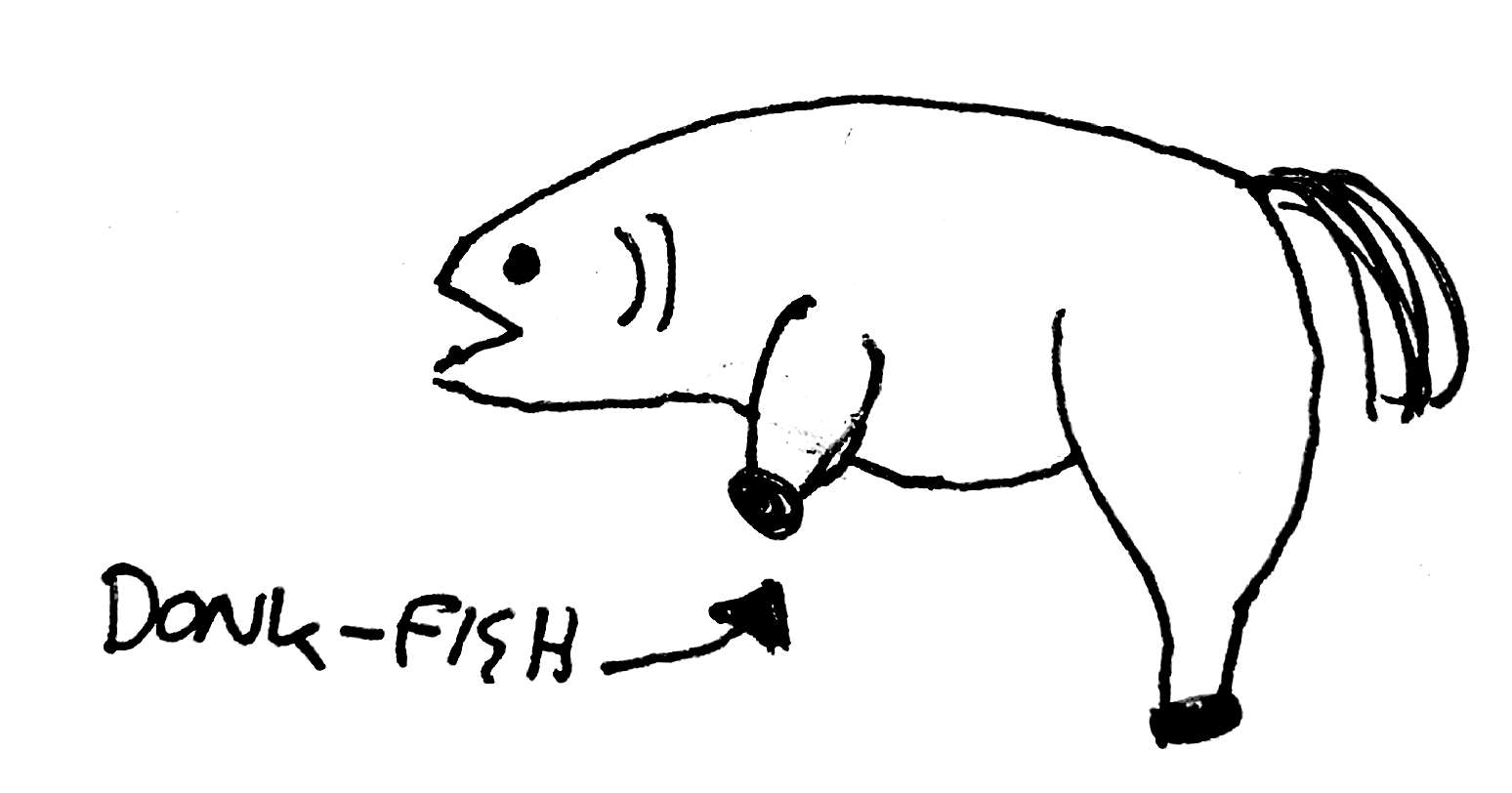 Donk fish sketch
